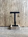 image00009.webp