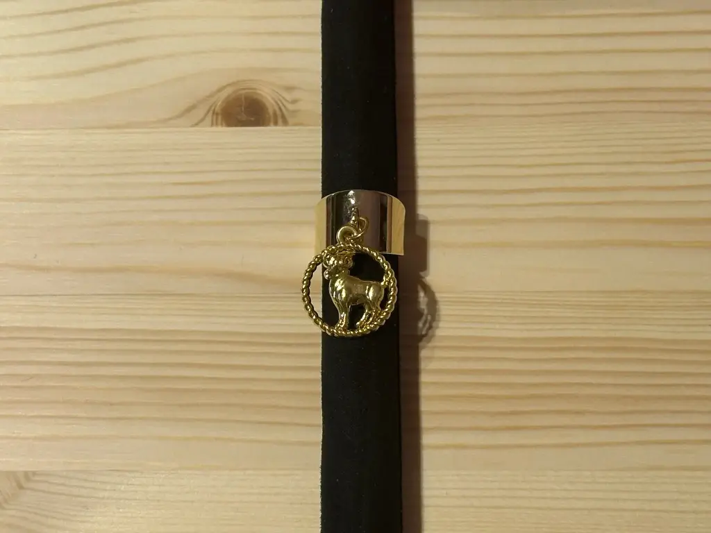 Bague dorée signe bélier en acier inoxydable